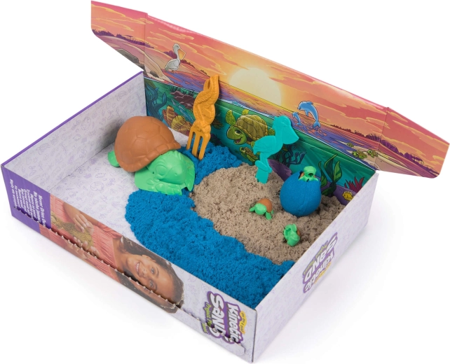 Create a turtle coast