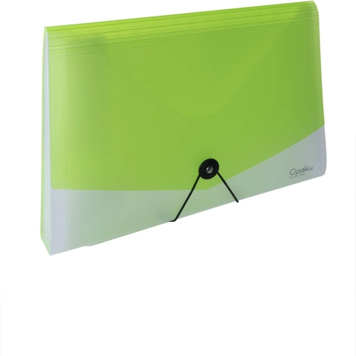 A4 Document Organizer with Elastic Closure Opaline Clear-Green