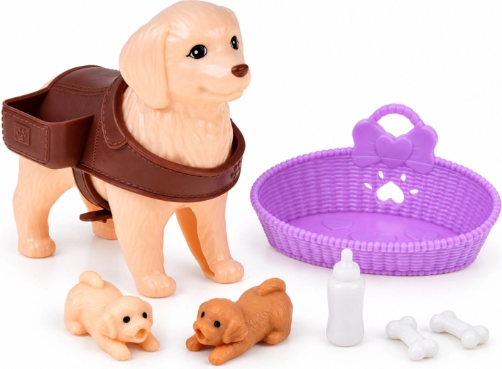 Accessories for caring for the dog family