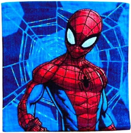 Spiderman Face Towel