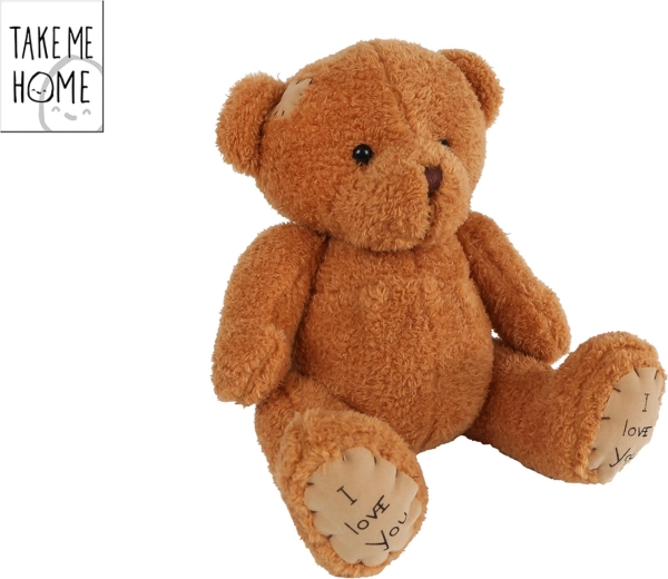 Sitting Plush Teddy Bear Take Me Home 25 cm