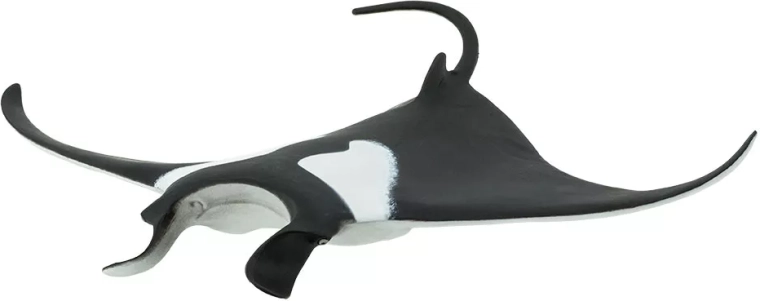 Ideal size for a child’s hand and for a collection