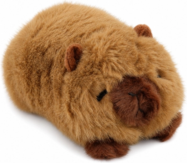 Cute capybara details