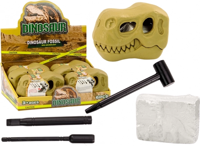 Археологически комплект динозавърски разкопки в череп