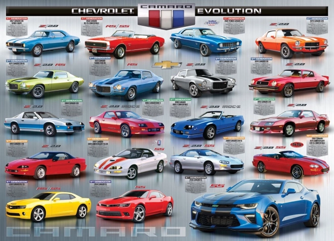 EUROGRAPHICS Puzzle Evolution of Cameras 1000 pieces