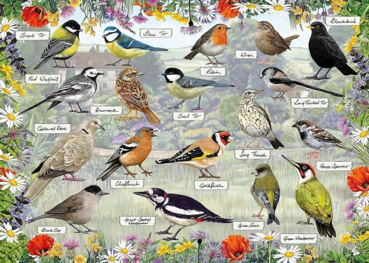 Gibsons puzzle RSPB: Happy Birds 1000 pieces