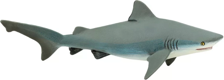 Bull shark figurine (bull shark) Safari Ltd.