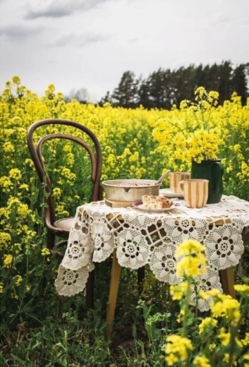 Norimpex diamond painting Coffee at a table in blooming rapeseed 30 × 40 cm