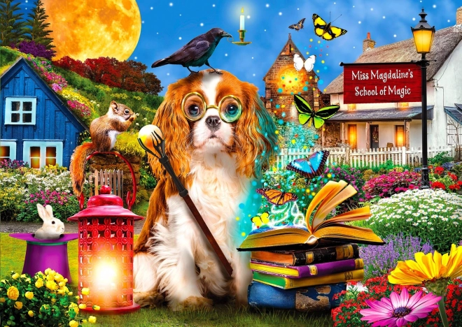 Puzzle School of Magic 1000 Pieces