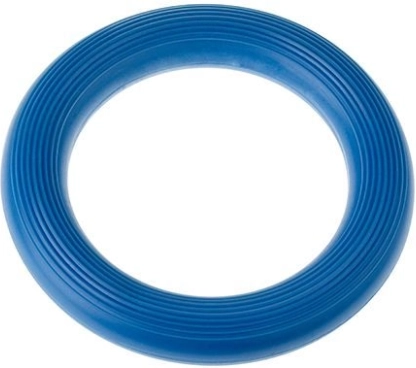 Ринго Тулло Синьо