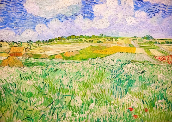 Пъзел Vincent van Gogh: Пейзаж в Овер 1000 части