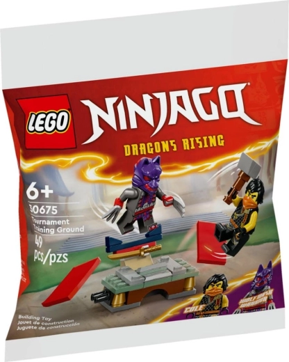 LEGO NINJAGO Tournament Training Ground