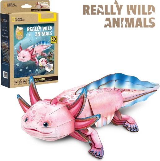 CubicFun 3D puzzle National Geographic: Axolotl, 50 pieces
