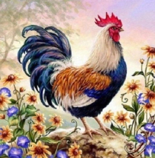 Norimpex Paint by Numbers Rooster in Flowers 40 × 50 cm