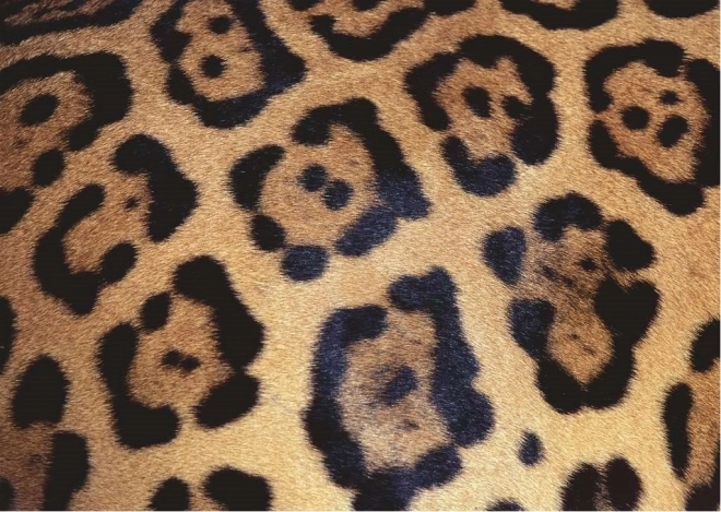 Ravensburger Puzzle Challenge: Animal Pattern 1000 Pieces