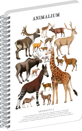 Notique spiral notebook Animalium – even-toed ungulates, plain, A4
