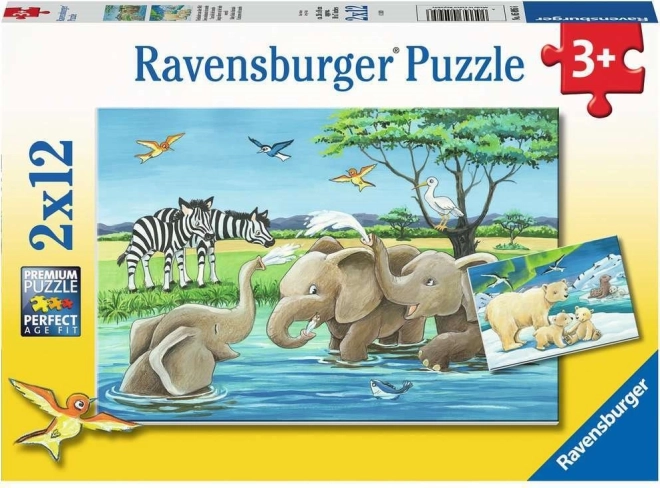 Ravensburger Puzzle Animal Babies 2×12 pieces