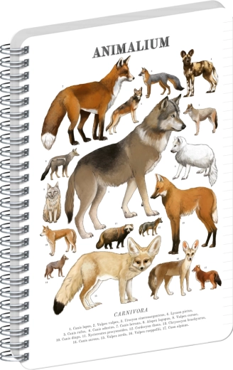 Notique spiral notebook Animalium – Canids, ruled, A5
