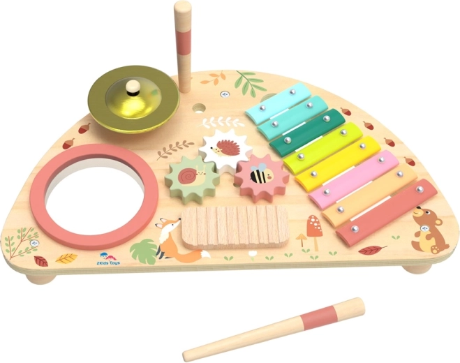 Мултифункционална музикална дъска 2Kids Toys