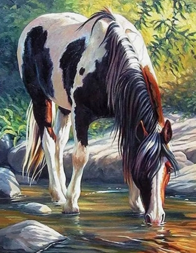Painting by Numbers – Horse by the River 40 × 50 cm