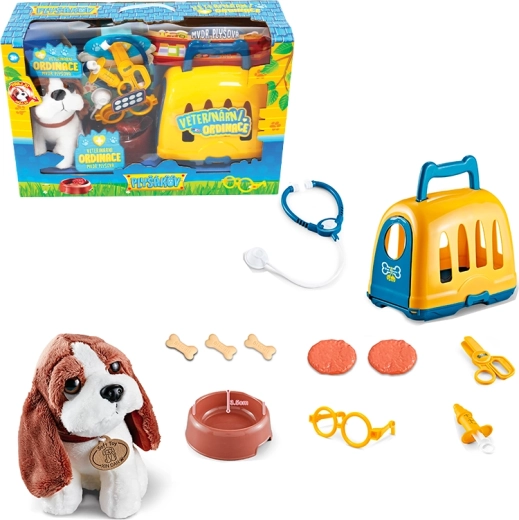 Veterinary set with carrier and beagle