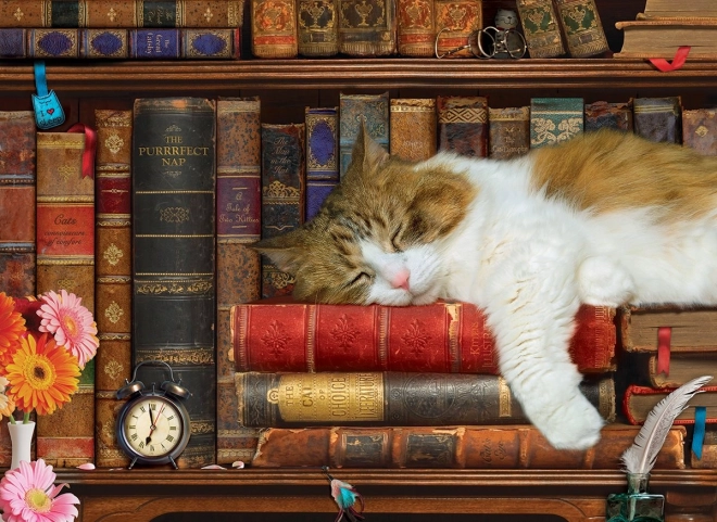 Cat Nap Puzzle XL 500 Pieces Eurographics