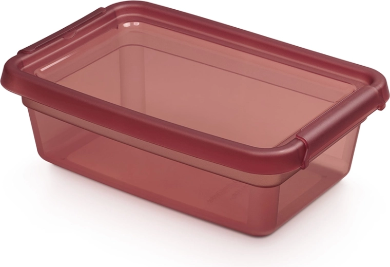 Basestore кутия за съхранение с капак и щипки 3 л, 19 × 28 × 9 см, Rhubarb