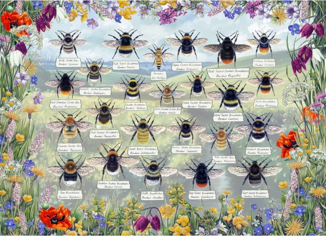 Gibsons Puzzle Brilliant Bees 1000 Pieces