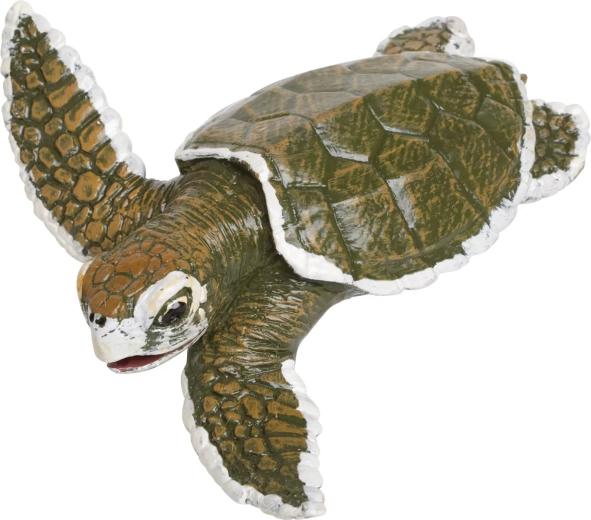 Hawksbill sea turtle hatchling (smaller) - 1 piece