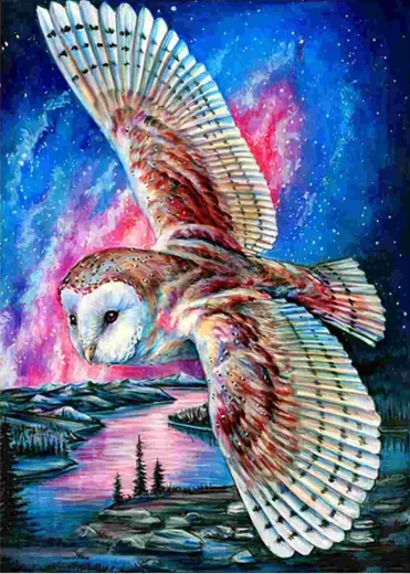 Norimpex диамантено рисуване „Летяща сова“ 30 × 40 см