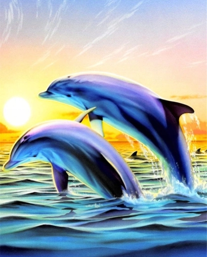 Norimpex Paint by Numbers Jumping Dolphins 40 × 50 cm