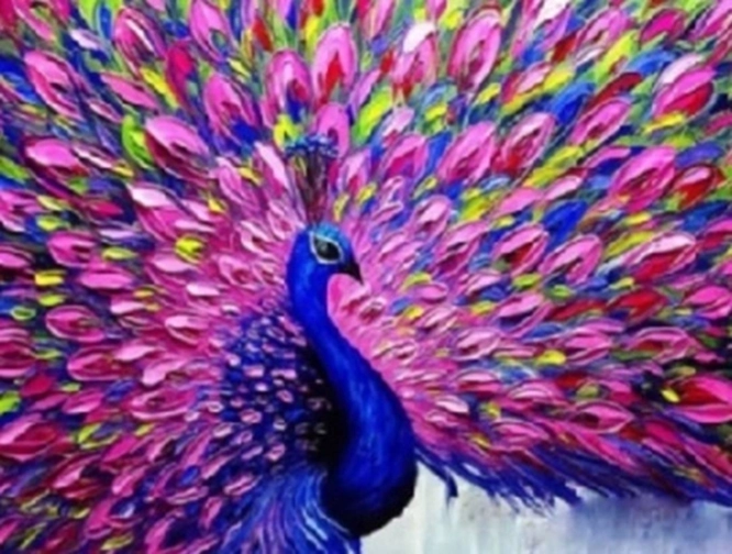 Norimpex Paint by Numbers Peacock with Pink Tail 40 × 50 cm