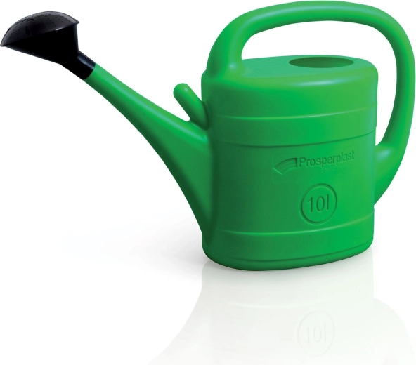 SPRING 5 L Plastic Garden Watering Can with Removable Rose