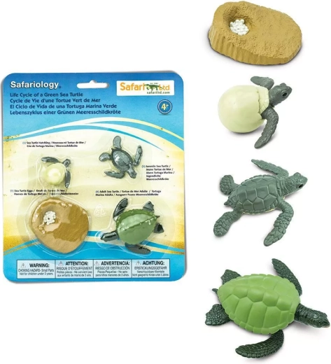 Safari Ltd. Sea Turtle Life Cycle