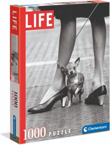 Clementoni Life Chihuahua puzzle 1000 pieces – Chihuahua