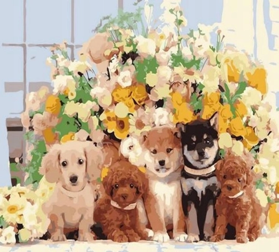 Norimpex Paint by Numbers Dogs 40 × 50 cm