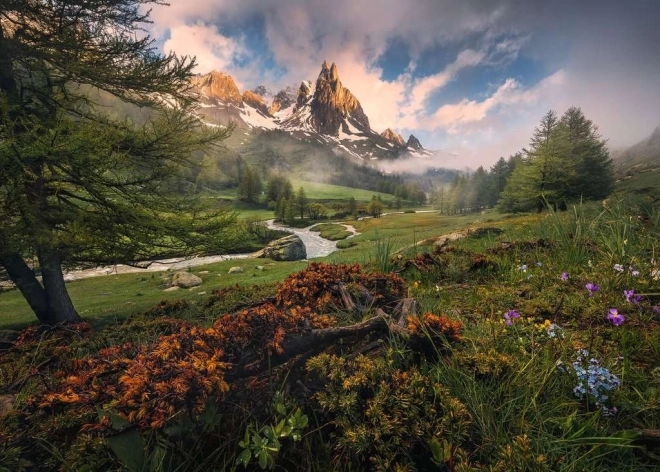 Puzzle RAVENSBURGER Nature in Vallée 1000 pieces