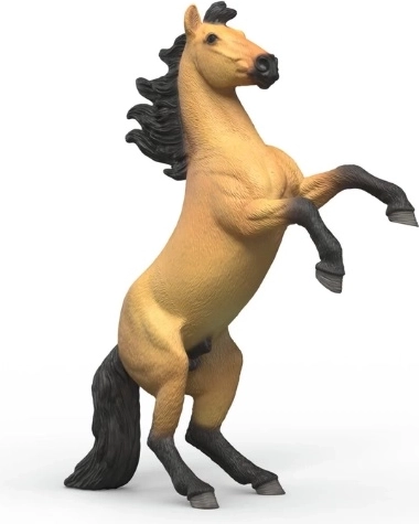 Mustang Stallion