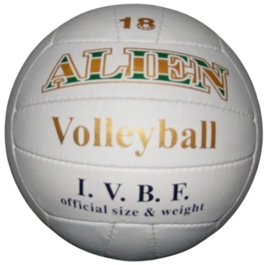 Alien Volleyball Ball 22 cm