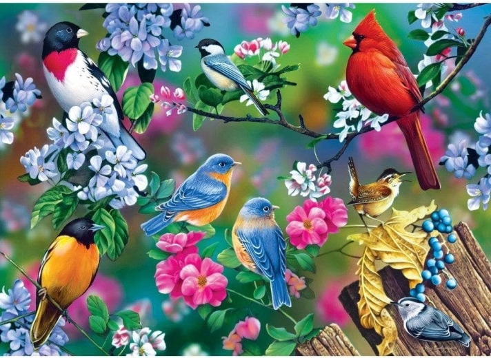 Masterpieces Audubon Songbird Collage Puzzle 1000 Pieces