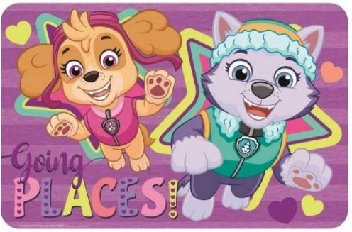 Paw Patrol Desk Pad