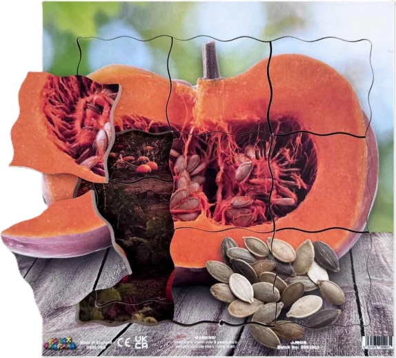 Just Jigsaws Pumpkin and Its Vegetative Growth Stages – Layered Wooden Puzzle, 19 Pieces