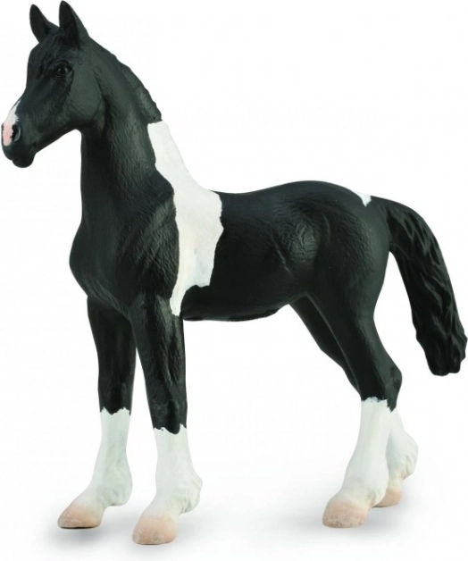 Collecta бароково конче пинто