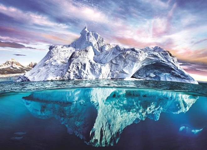 Puzzle EUROGRAPHICS Save Our Planet: Arctic 1000 pieces