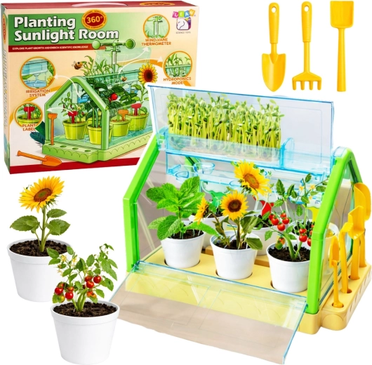 Mini Garden for Kids – Educational Greenhouse with Automatic Watering