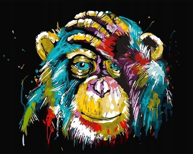 Norimpex Paint by Numbers Colorful Monkey 40 × 50 cm