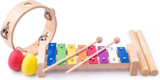 Musical instruments for kids 3+