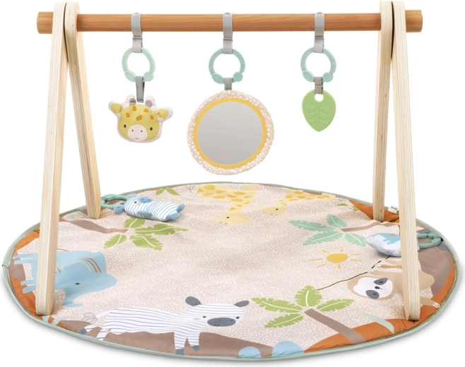 Ingenuity Wonder & Wood™ Activity Gym with Play Arch