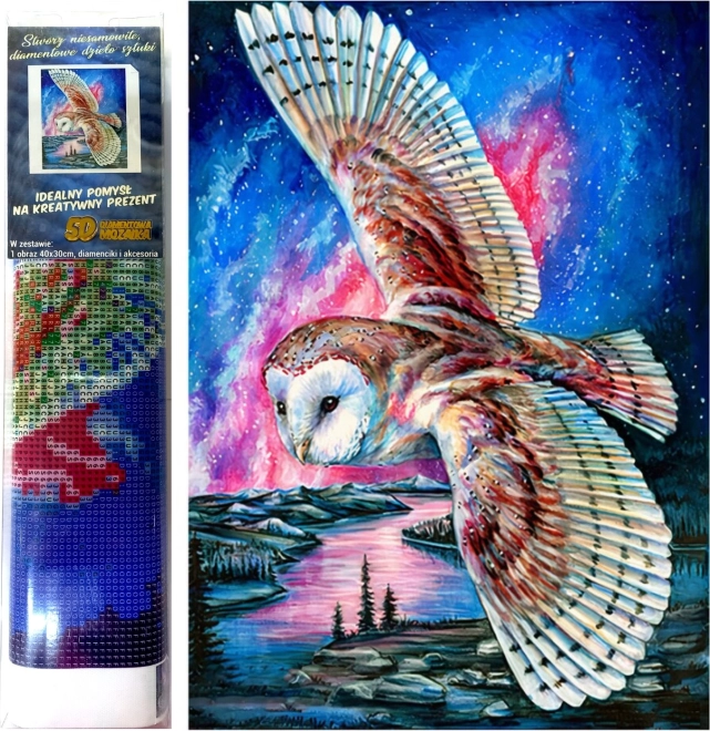 Диамантено рисуване Полет на сова 30x40 см