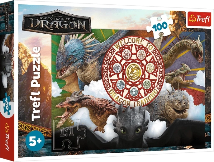 Puzzle 100 – dragons in action trefl